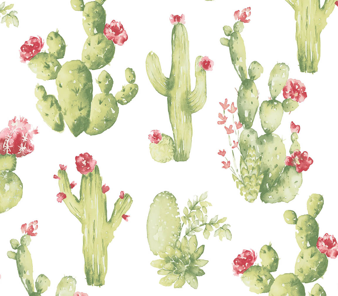 green cactus wallpaper