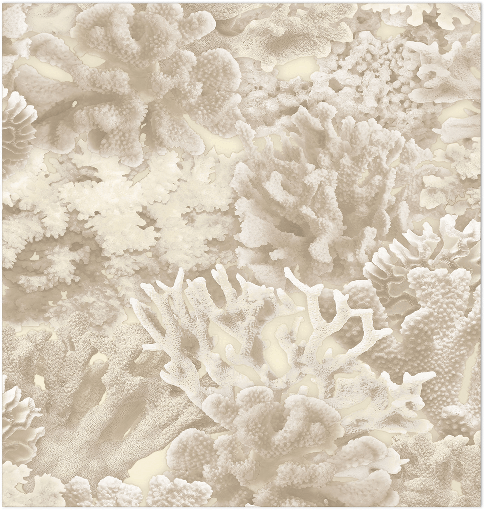beige coral wallpaper