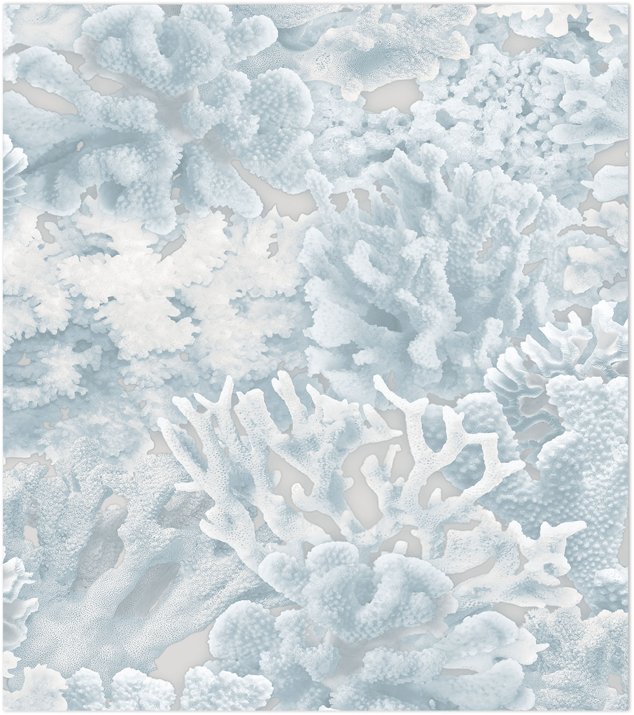 blue coral wallpaper