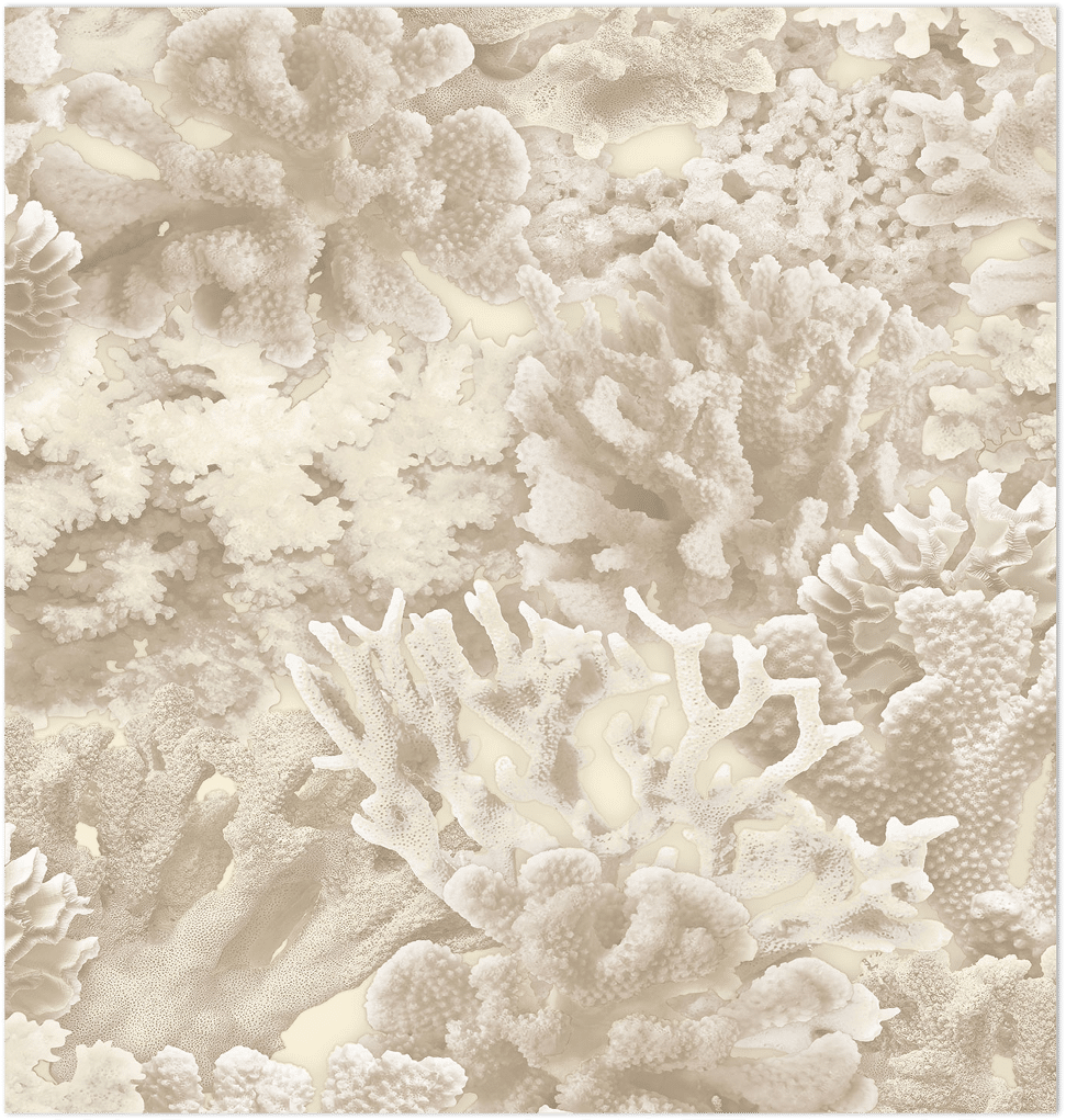beige coral wallpaper