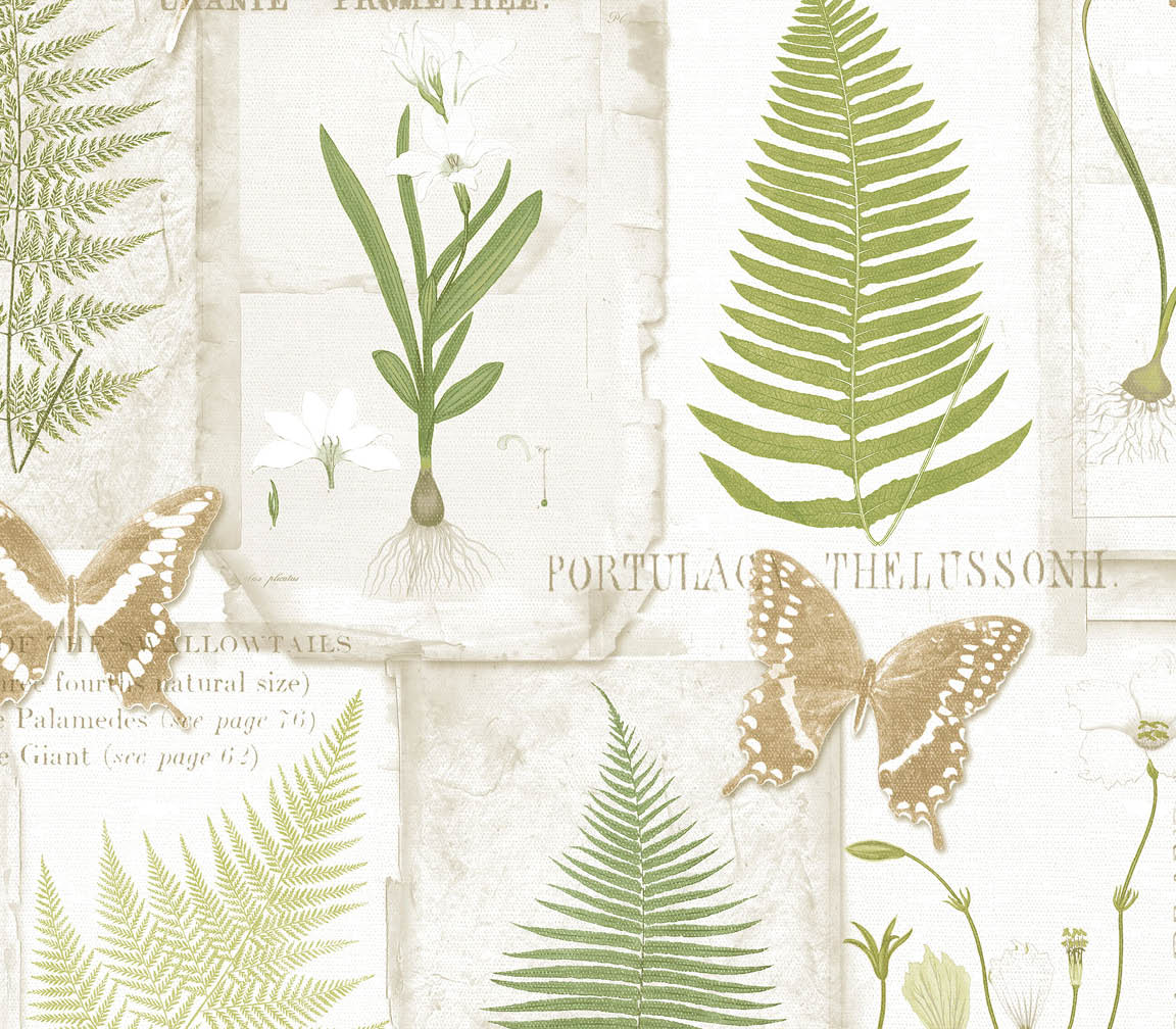 green and beige fern leaves on white wallpaper