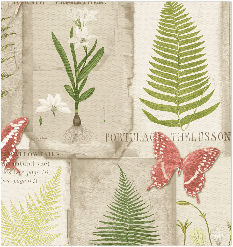 red green and brown fern leaves on beige wallpaper