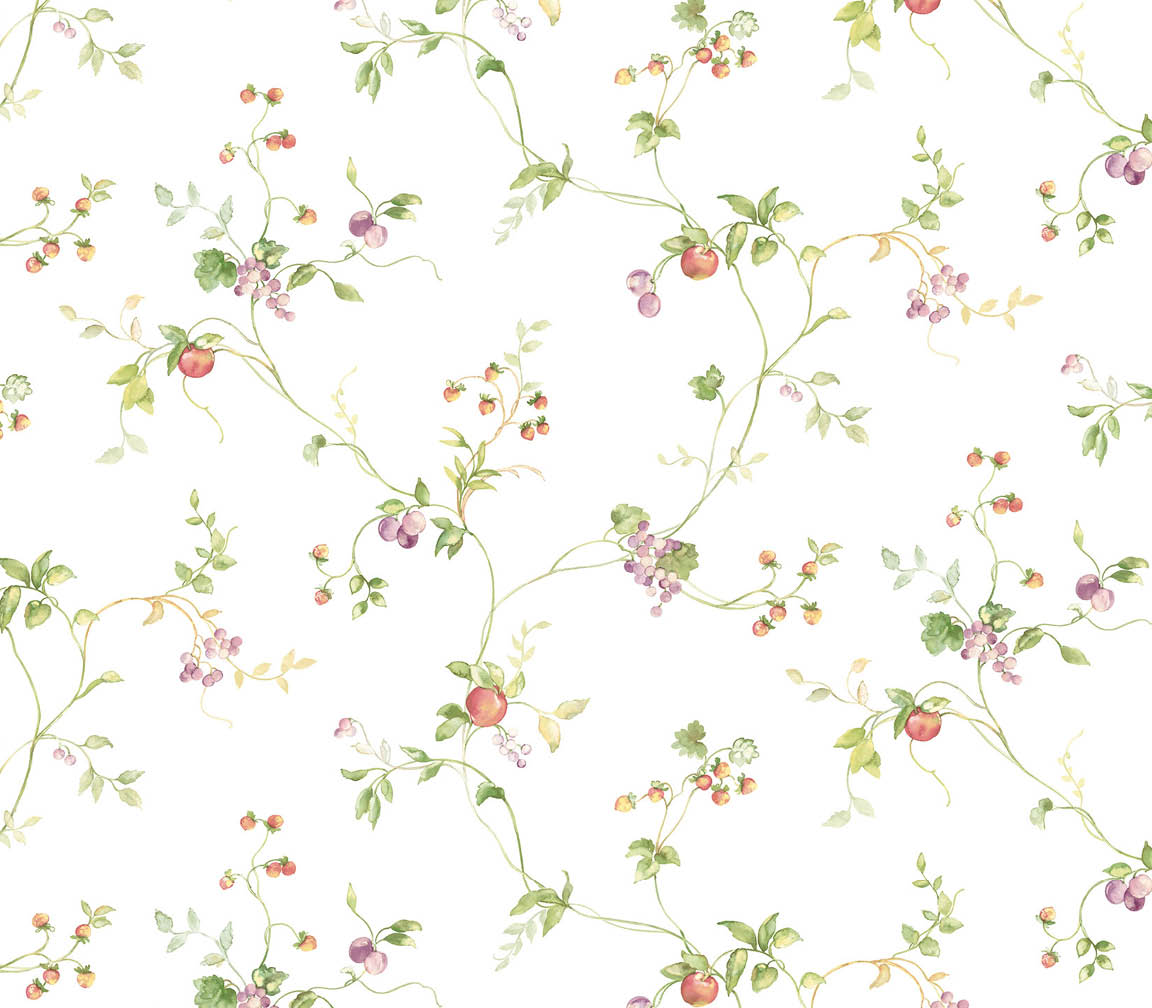 fruit trail on white wallpaper