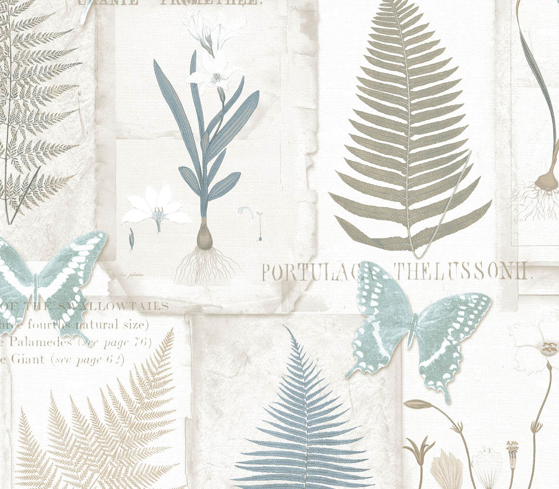 blue and taupe fern leaves on white wallpaper