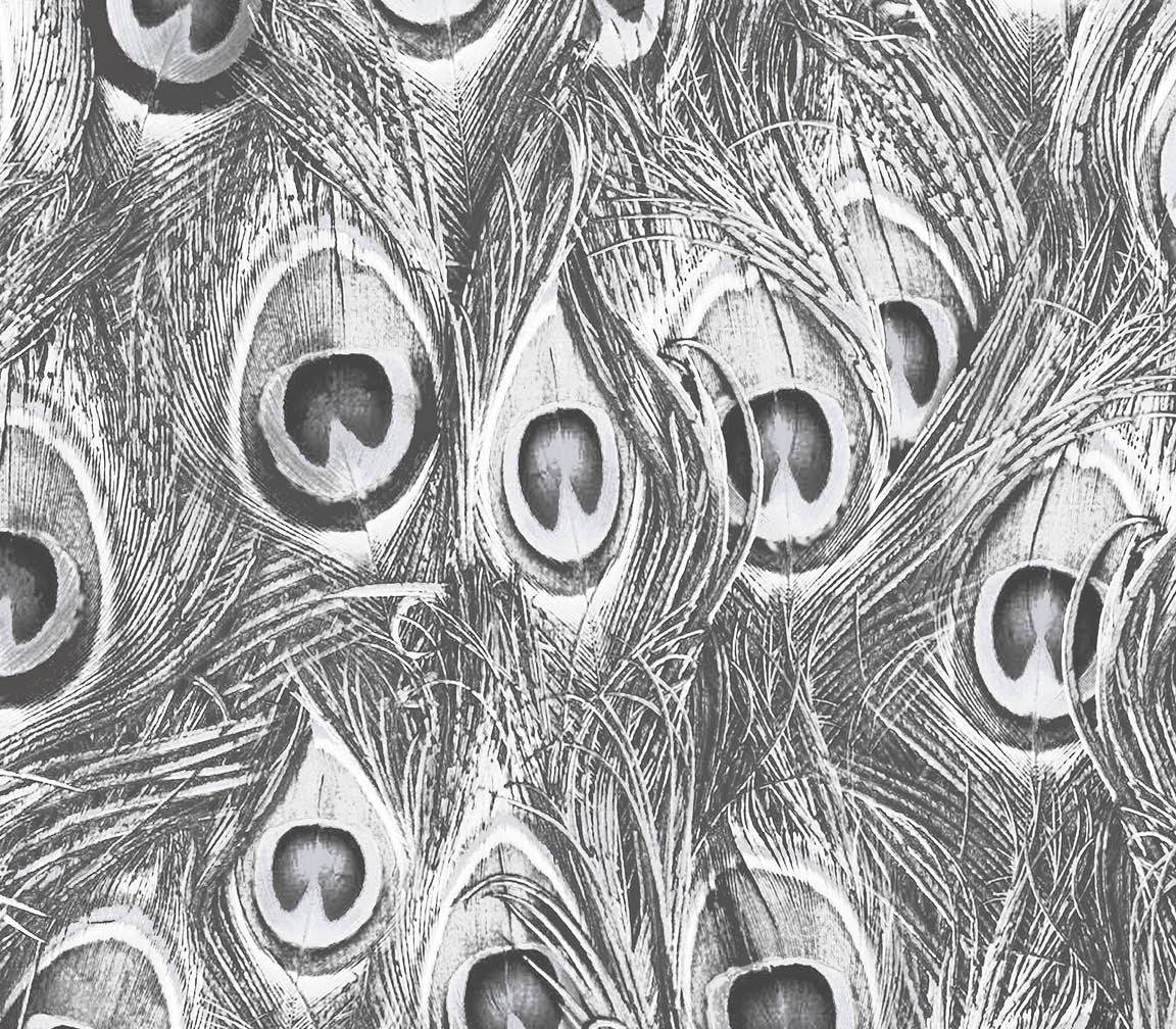 black and white peacock wallpaper