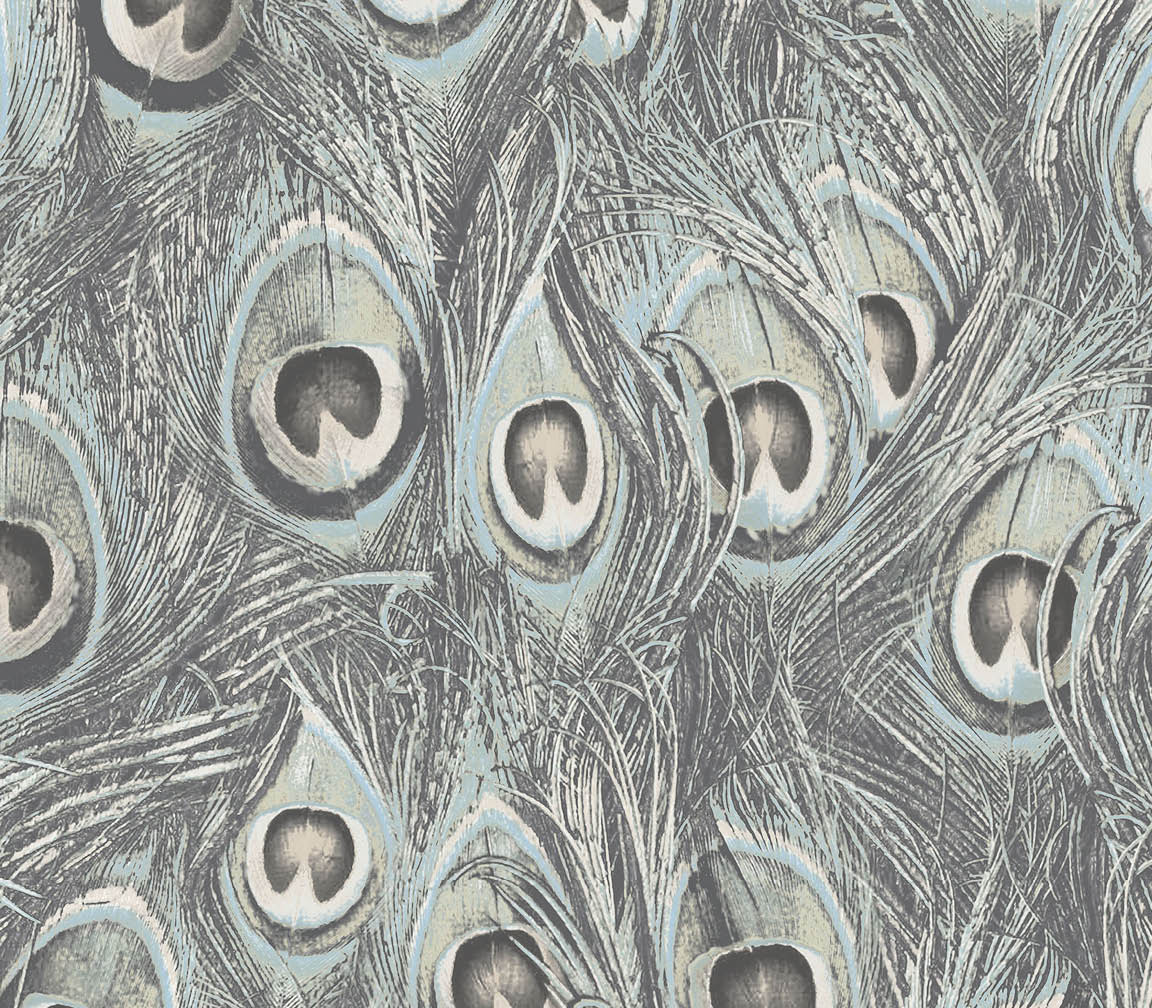 teal peacock wallpaper 