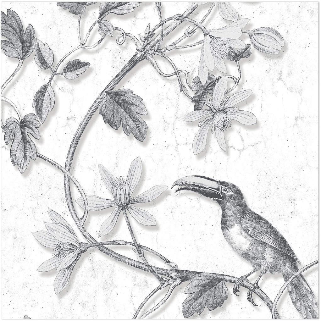 black and white toucan wallpaper