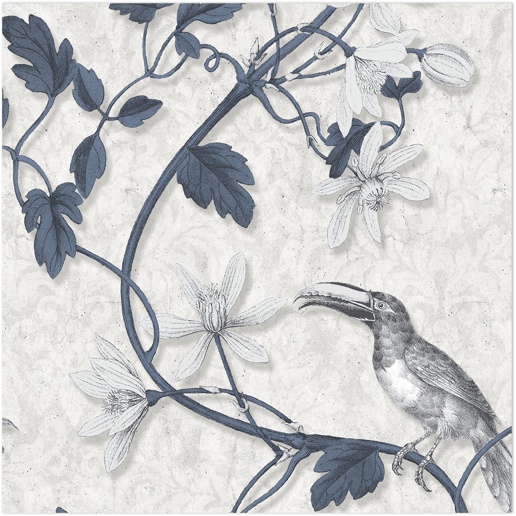 blue toucan wallpaper