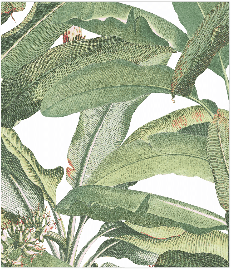 green leaves wallpaper