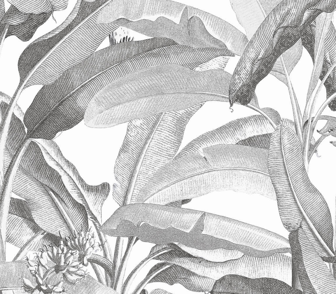 black and white leaves