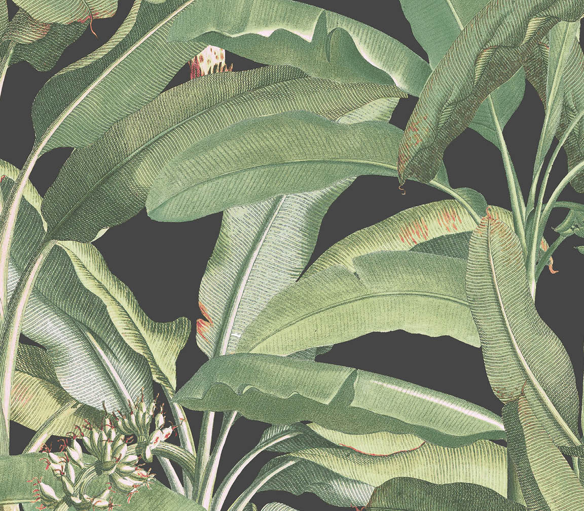 green and black leaves wallpaper