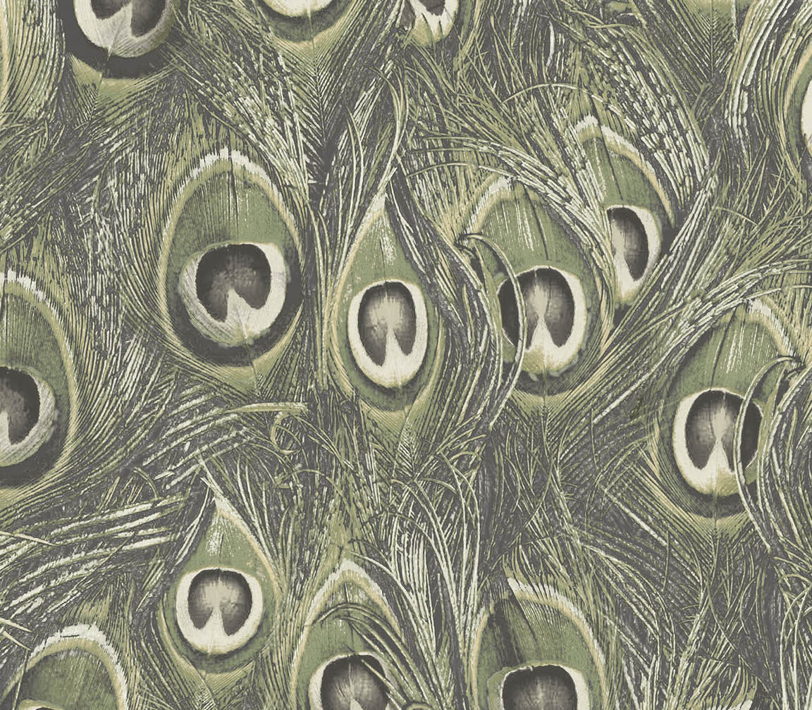 green peacock wallpaper