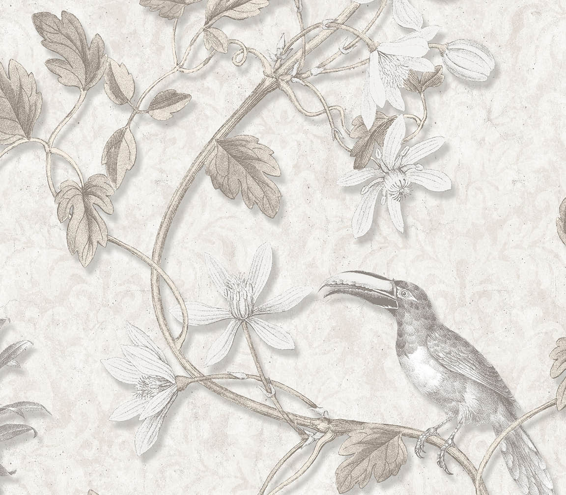 beige toucan wallpaper