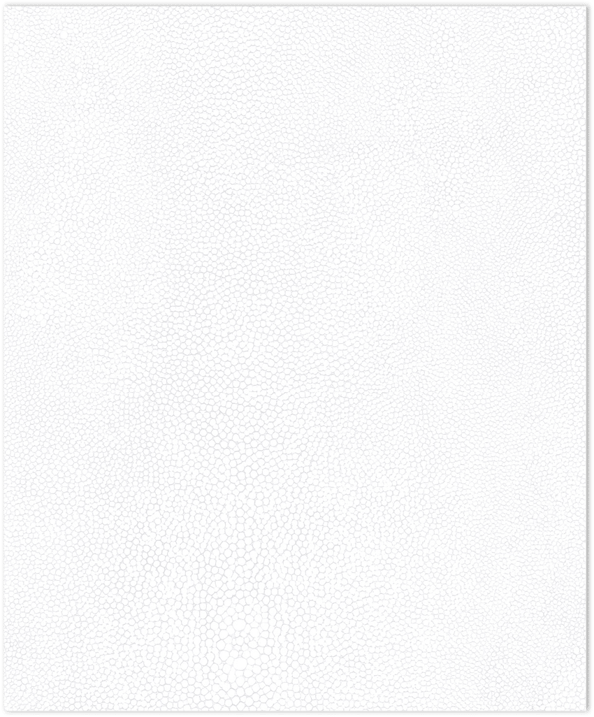 White with sparkles stingray texture in-register embossed wallpaper