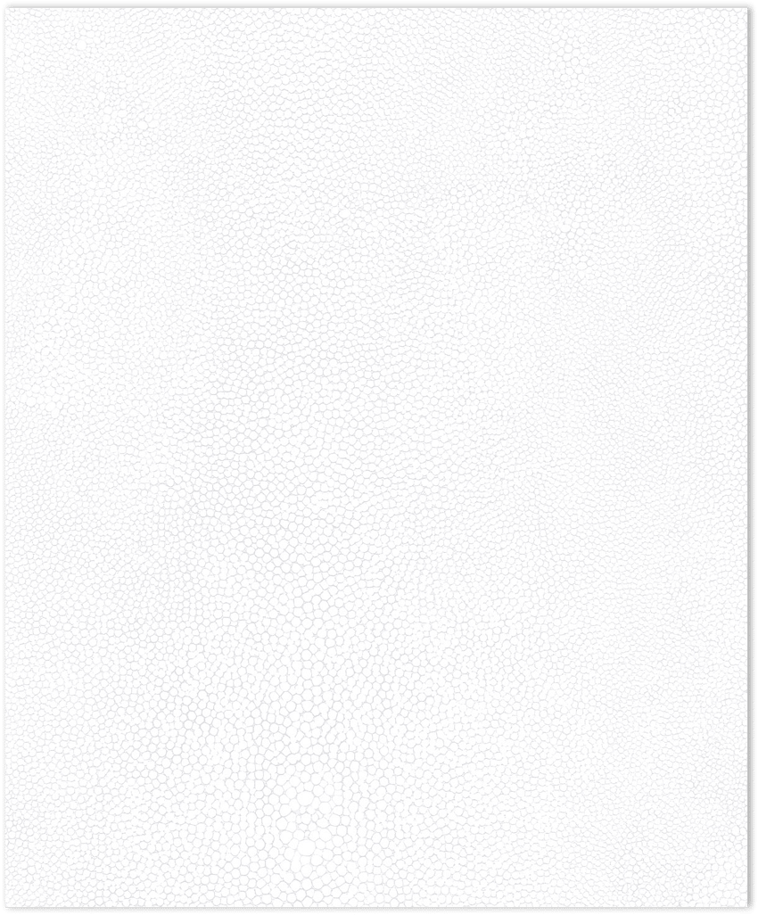 White with sparkles stingray texture in-register embossed wallpaper