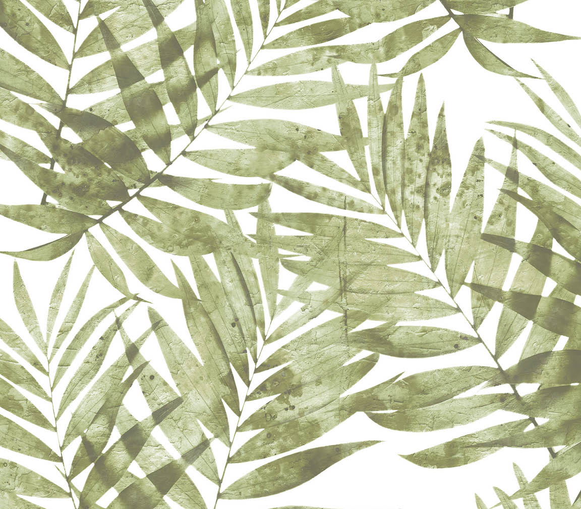 green palm leaves wallpaper
