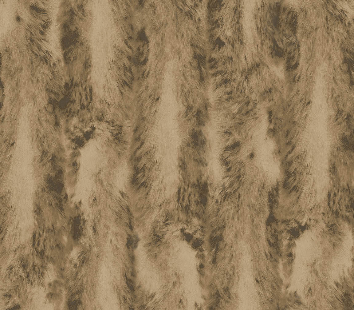 brown Chinchilla fur wallpaper