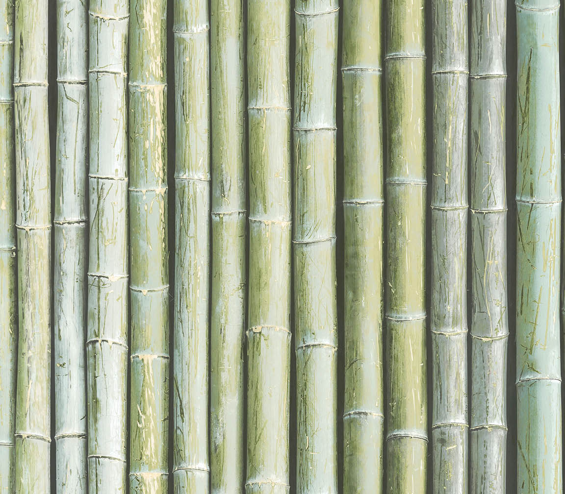 green bamboo wallpaper