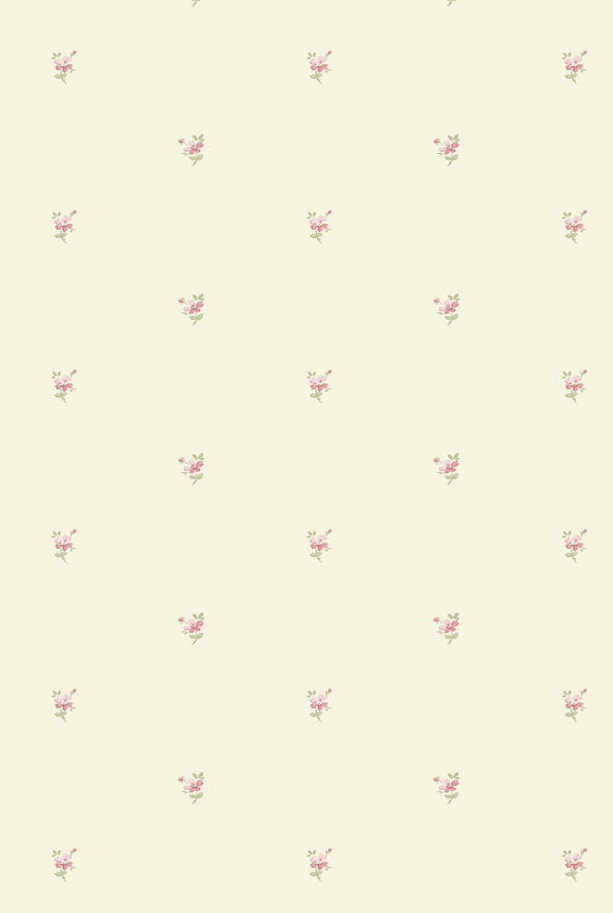 yellow and pink mini daisy wallpaper