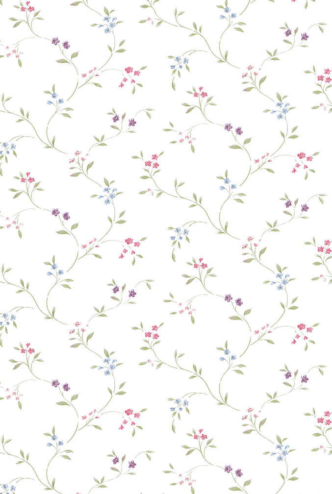 multi coloured mini floral trail on white wallpaper