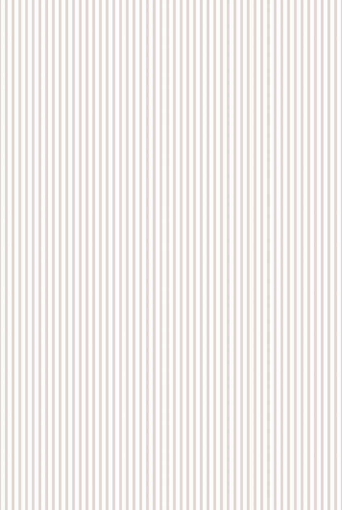 pale pink stripe wallpaper