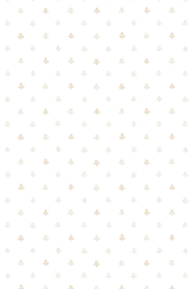 beige and white pattern wallpaper