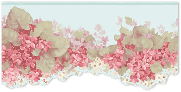aqua, red and green floral wallpaper border