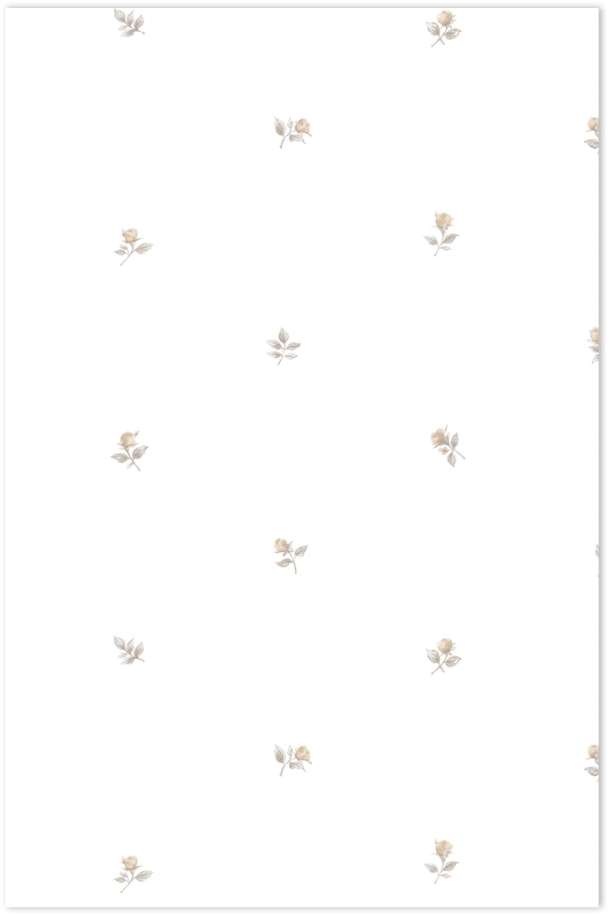 Beige and grey rose buds on paper white wallpaper
