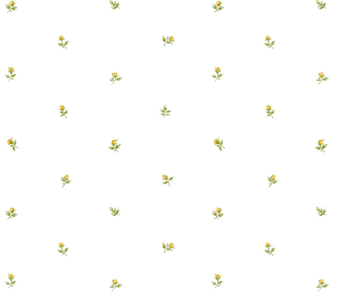 Yellow green rose buds on paper white wallpaper